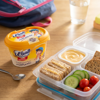 Sam Meraları Cheddar Cheese Spread Tub Creamy Flavor for Snacks