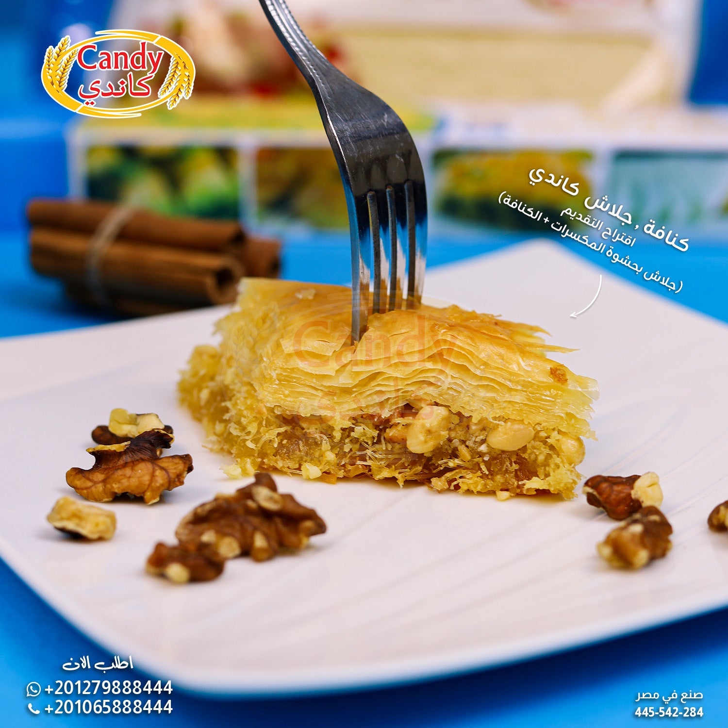 Candy Kataifi Shredded Dough, 454g (16oz) - Authentic Egyptian Kunafa Pastry, Fine Shredded Phyllo for Middle Eastern Desserts, Crispy & Golden Finish - SANI-LLC