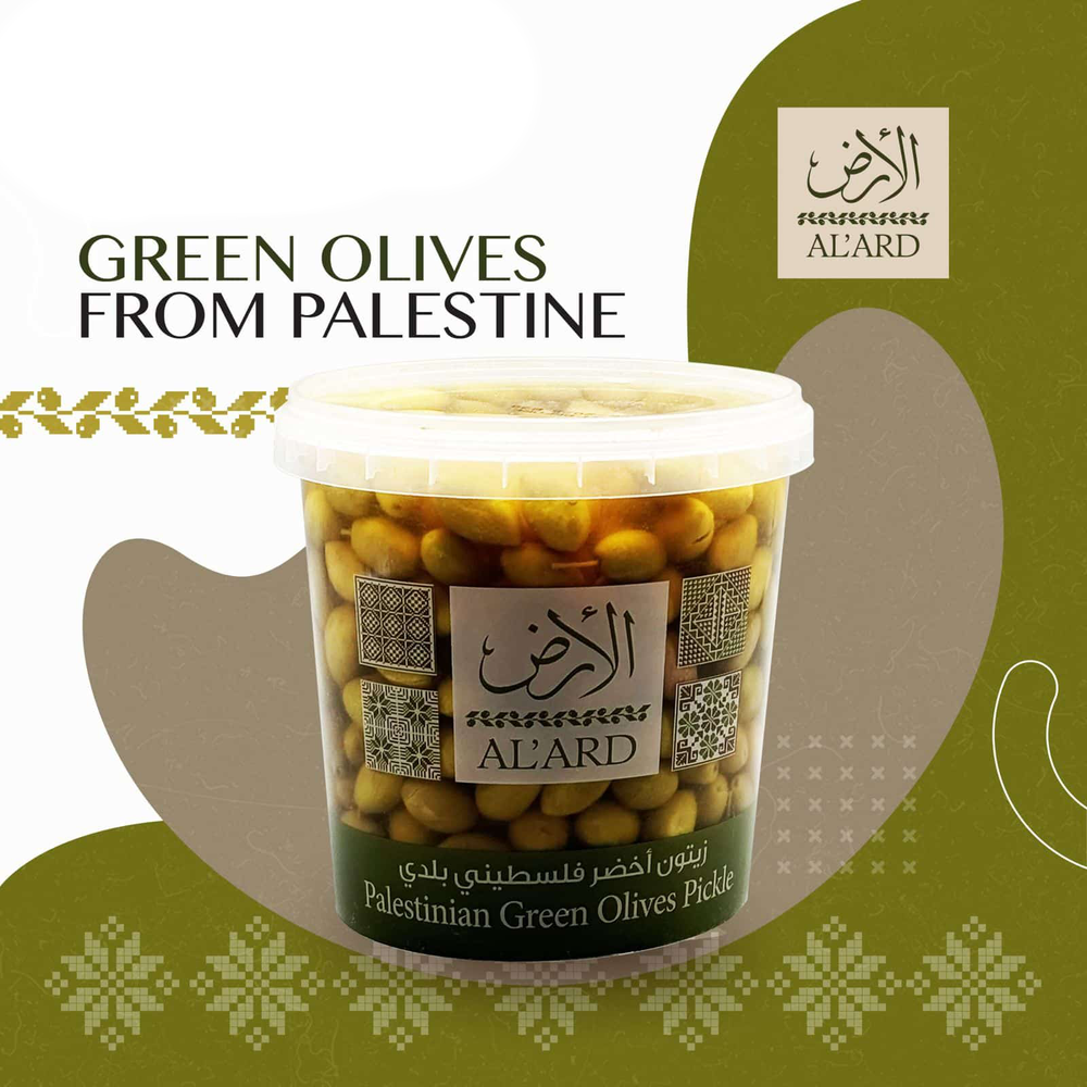 AL'ARD Palestinian Green Olive Pickle 2lb Pitted & Naturally Brined Tangy & Crisp for Appetizers & Salads - SANI-LLC