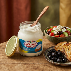 Processed cheese in a 500g package from Obour Land by SANI-LLC, shown in a clear image with the cheese packaging visible.