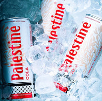 PalestineDrinks Palestine Cola 330ml carbonated soft drink in a glass bottle with a red label and metal cap
