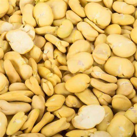 CLIC LRG Split Fava Beans - 1PaysLess