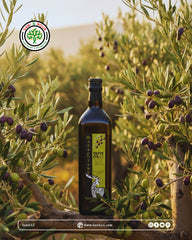Masclianae Extra Virgin Olive Oil, Premium Tunisian, First Cold Pressed,  Perfect for Cooking, 1 Liter (33.8 fl oz)