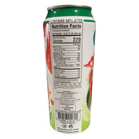 Buen Provecho Watermelon Juice with pulp in a 16.57oz bottle, showcasing a refreshing beverage with vibrant watermelon imagery.