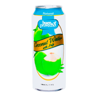 Buen Provecho Canned Coconut Water with Pulp 16.7oz - SANI-LLC
