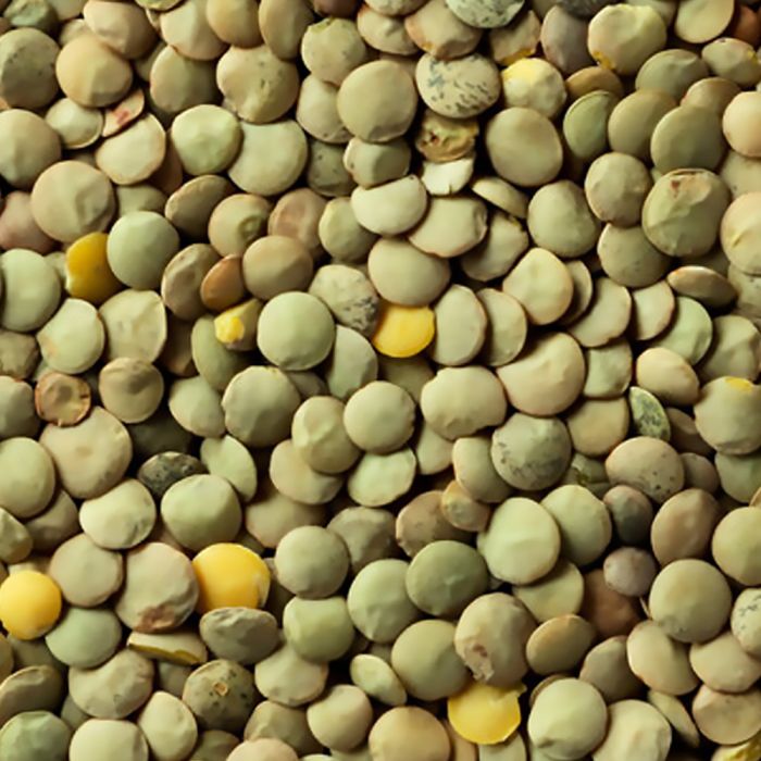 CLIC Eston Green lentils - 1PaysLess