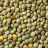 CLIC Eston Green lentils