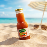Tamara Cocktail Nectar 250ml mixed fruit juice in a clear glass, showcasing vibrant, refreshing beverage with colorful fruit pieces.