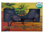 Sweet Medjools 2Lb (908 gm), Natural Delights Medjool Dates – x Fancy Dates Medjool, Non-GMO Verified, Pesticide Free, Naturally Sweet Fruit Snack,